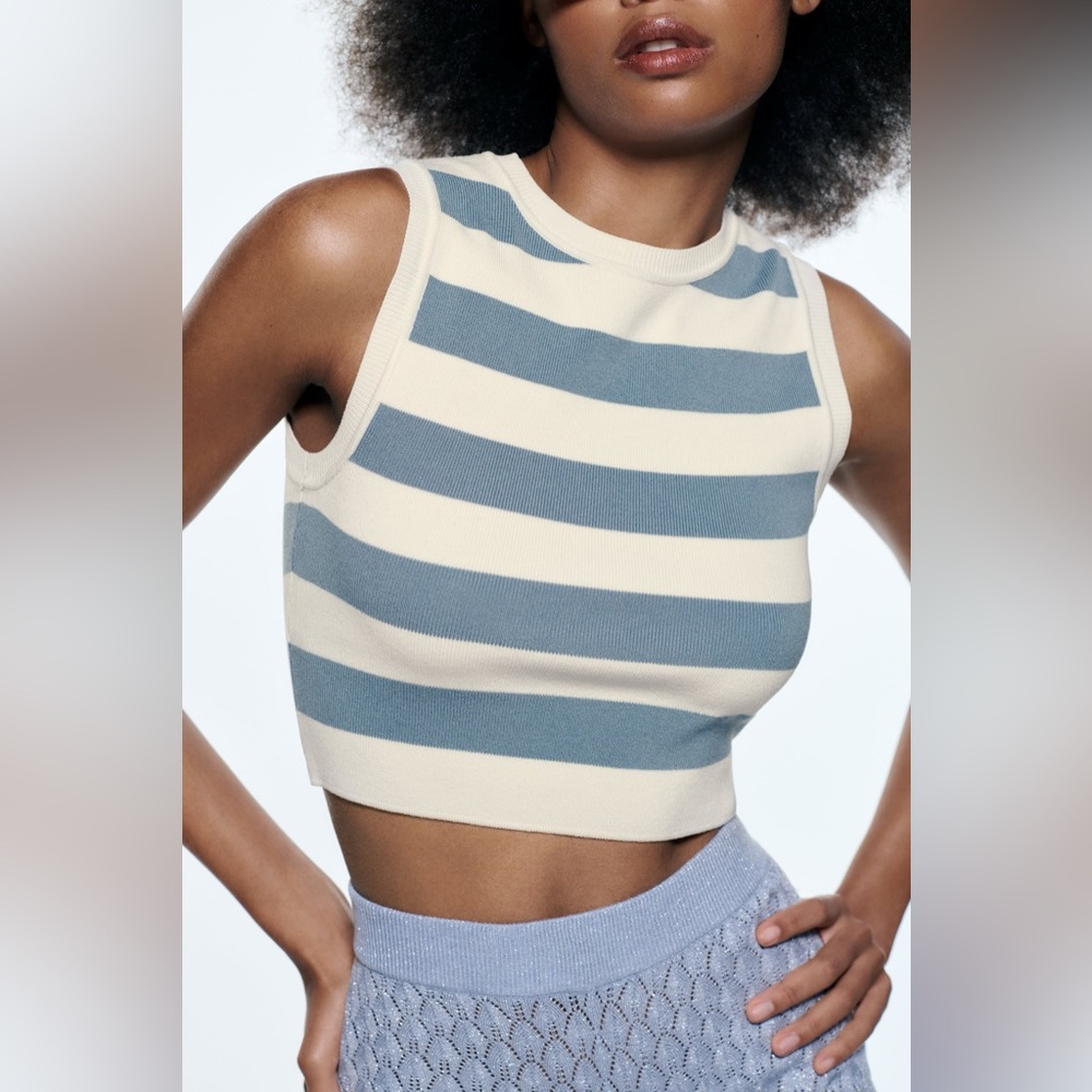 Zara Knit top